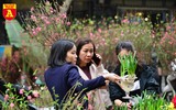 Rực rỡ sắc xuân ở chợ hoa Hàng Lược